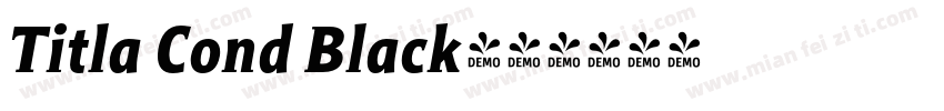 Titla Cond Black字体转换